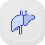 Liver Health