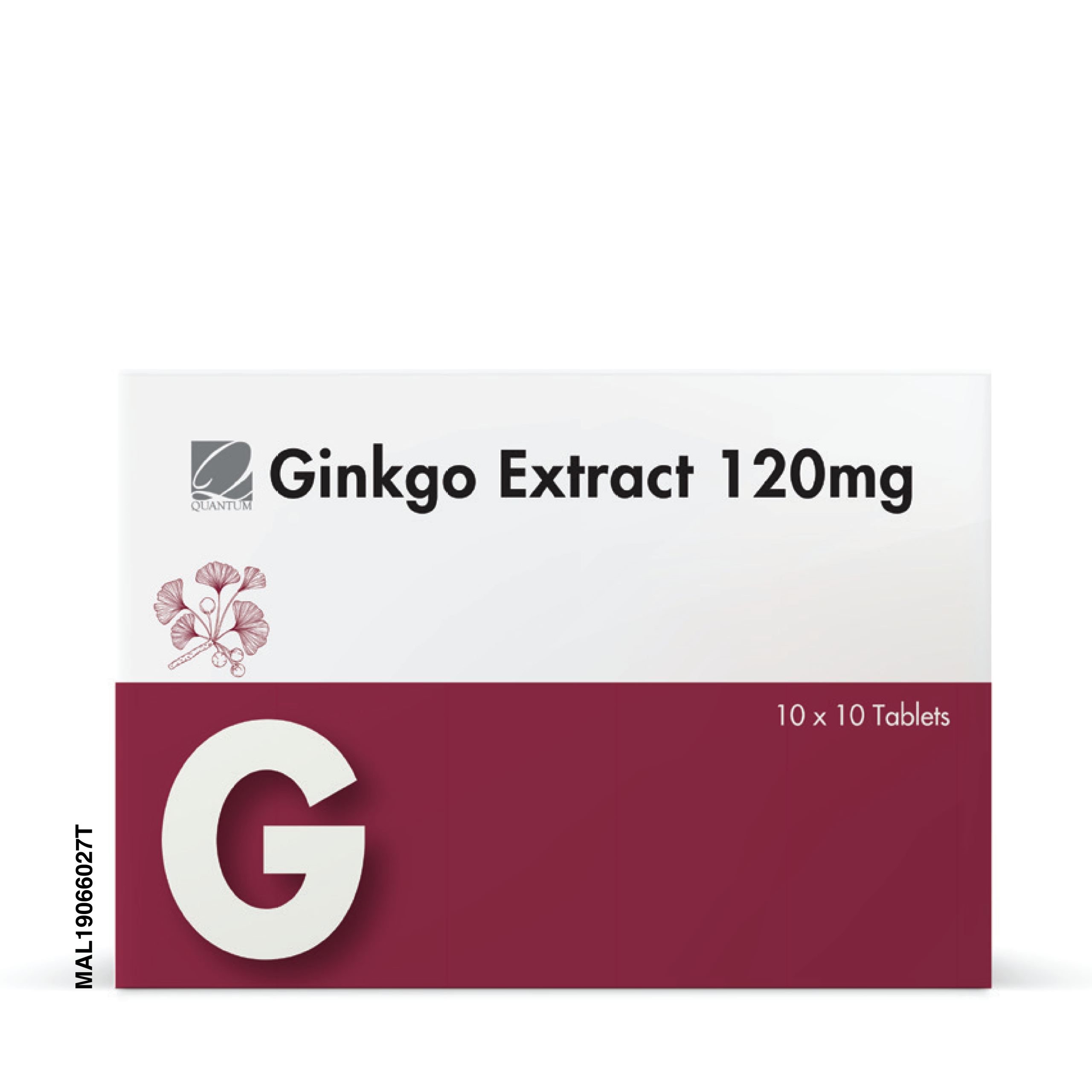 QVR GINKGO EXTRACT 120MG 100S